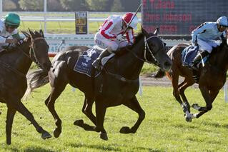 Nikita (NZ) and Showemup (NZ) the Big Winners in Warstep Stakes. Photo: Race Images, Christchurch.